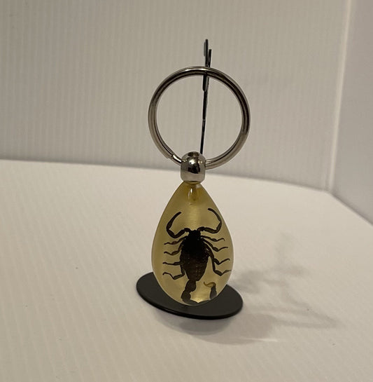 Keychain - Black Scorpion in a Glow in the Dark Resin