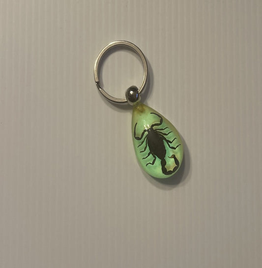 Keychain - Black Scorpion in a Glow in the Dark Resin