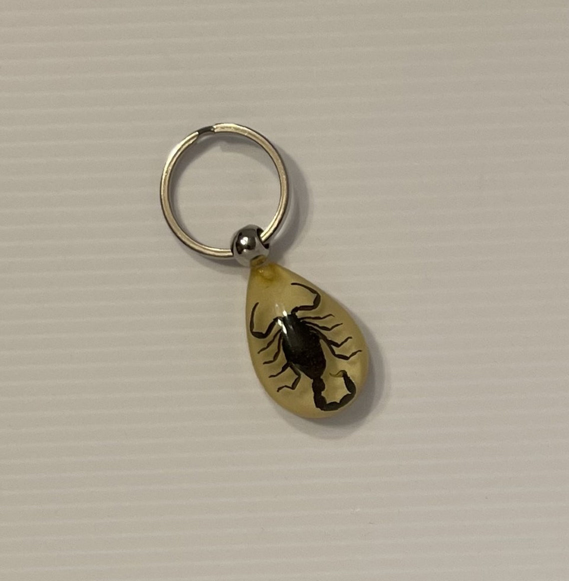Keychain - Black Scorpion in a Glow in the Dark Resin